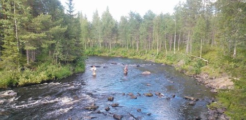 Illustration of fishing on a river